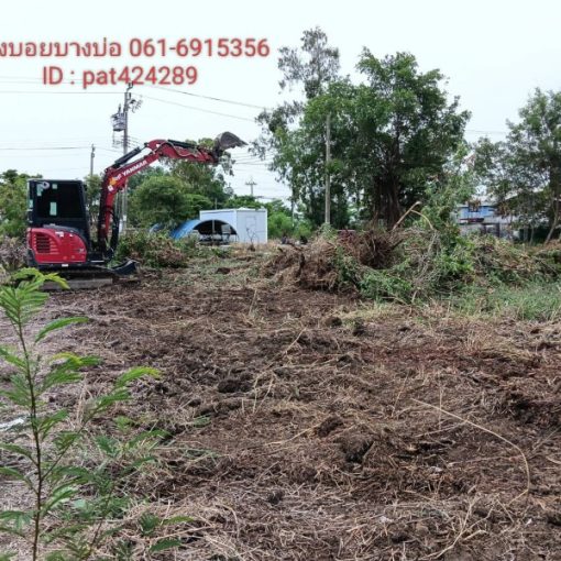 หน้าหลัก 14 1000023349